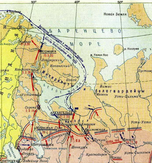Медвежье сходство до степени смешения, или Как янки из Мичигана спешили на помощь «Единой России»