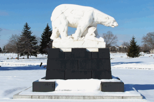 Медвежье сходство до степени смешения, или Как янки из Мичигана спешили на помощь «Единой России»