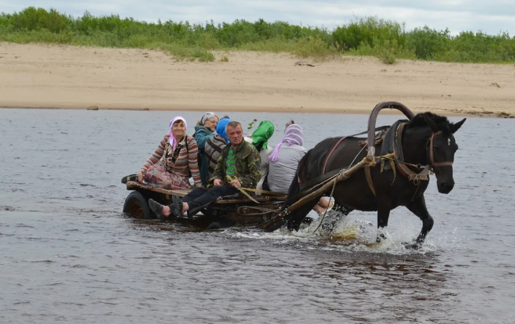 St✭R и К° ⤵️. Возможный преемник Путина дал о себе знать. И это не Пригожин и даже не сам Путин