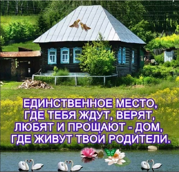 Дочки – матери. Одиночество матери или «синдром опустевшего гнезда». Как пережить расставание со взрослыми детьми.