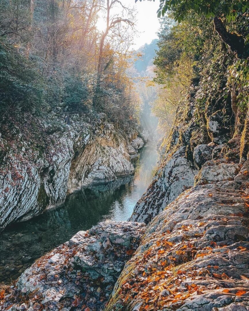 Стулья из краснодарского края