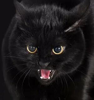 Ира, Ирка это вам не Ирина