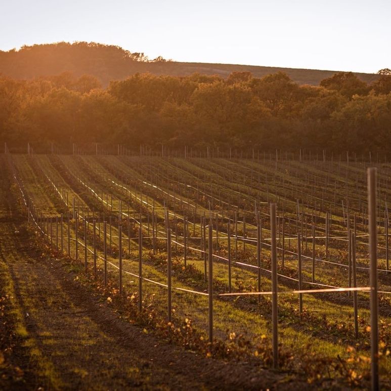 Краснодар и его окрестности славятся множеством живописных мест, которые заслуживают внимания. Если вы ищете место для отдыха, то у вас есть варианты!