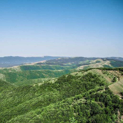 Краснодар и его окрестности славятся множеством живописных мест, которые заслуживают внимания. Если вы ищете место для отдыха, то у вас есть варианты!
