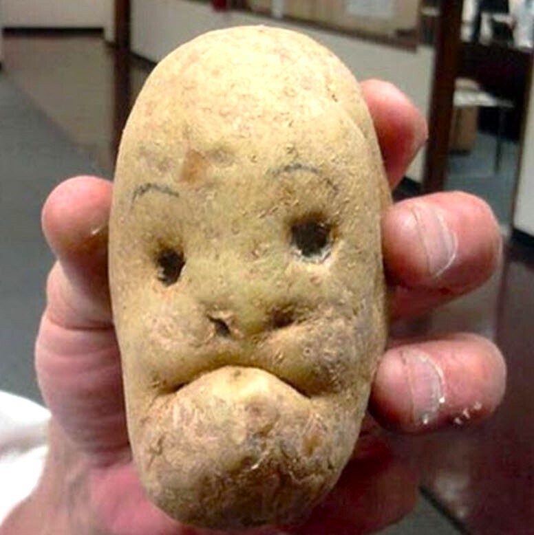 Вы тоже видите в предметах лица? Поздравляем, у вас парейдолия. Мозг, что ты творишь? Тест на расстройство личности