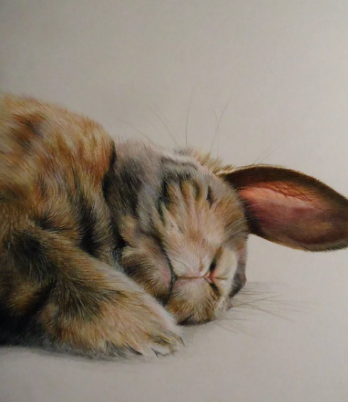 Какие типичные ошибки совершают люди при выборе партнера?