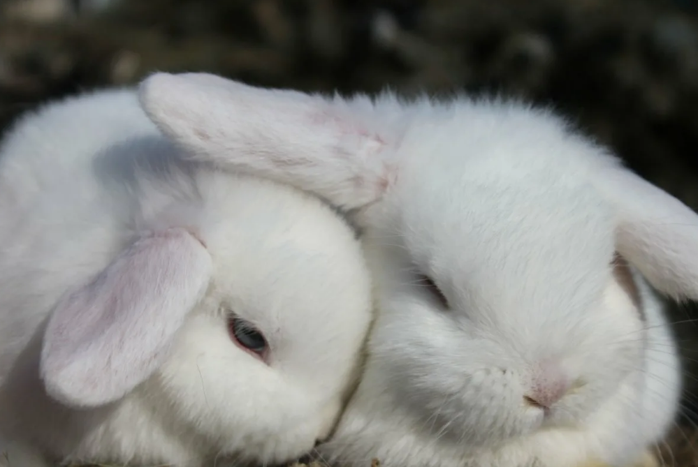 Какие типичные ошибки совершают люди при выборе партнера?