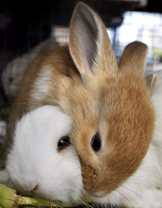 Какие типичные ошибки совершают люди при выборе партнера?