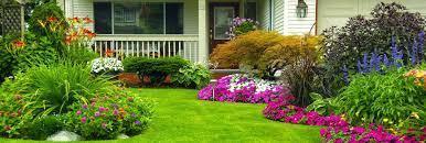 Основы организации дачного участка: советы для начинающих