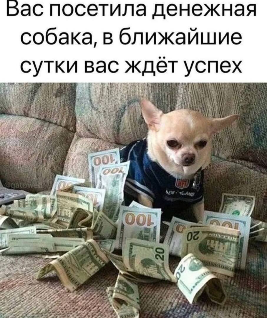 Прогноз 19 мая 2023