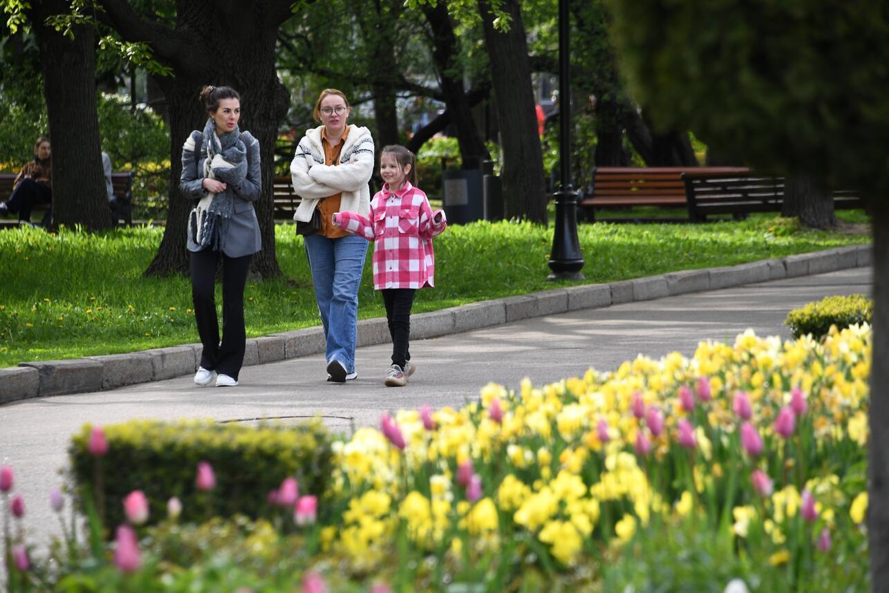 Каким будет лето 2023