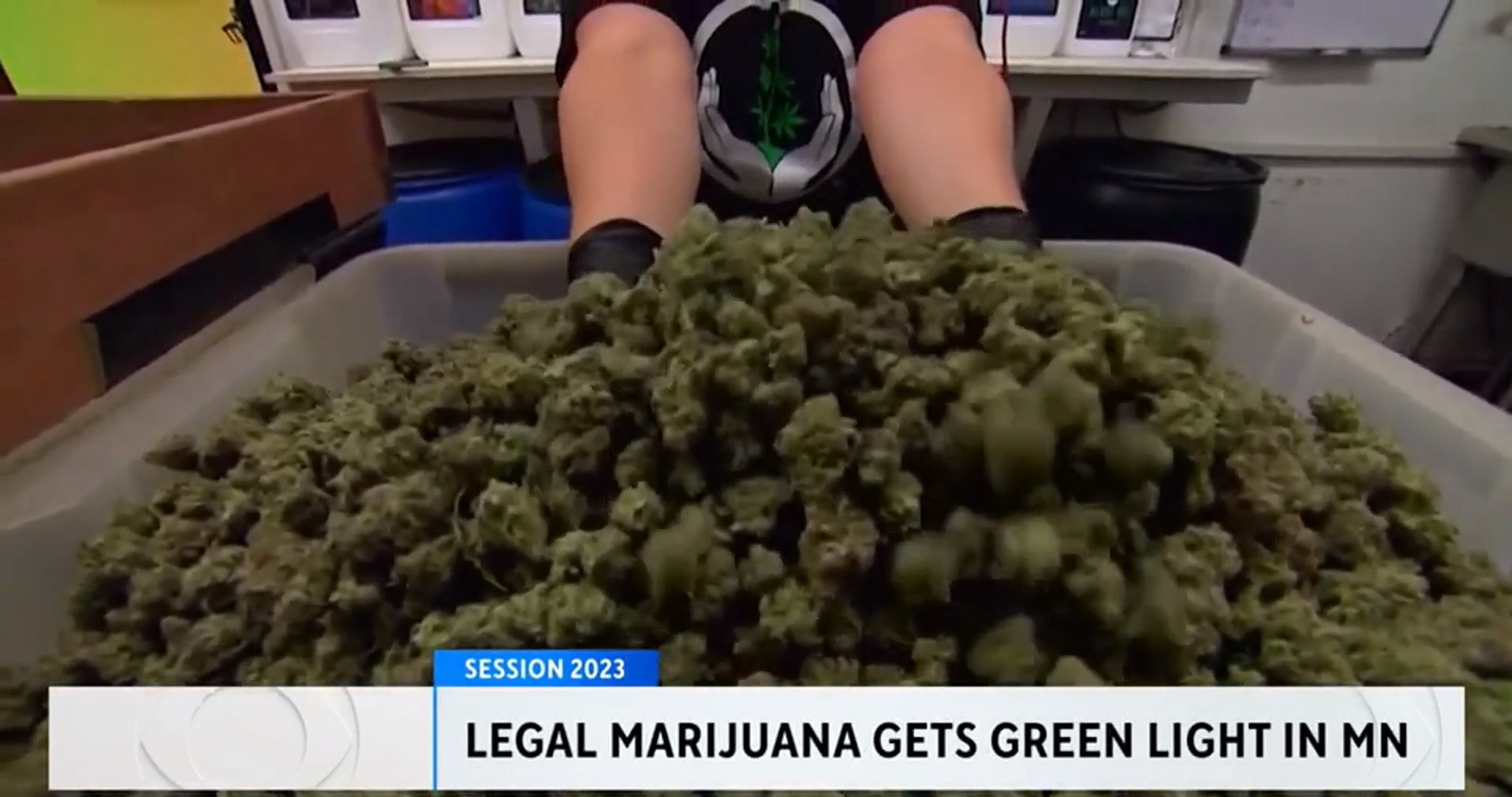 Ещё один штат в США легализует марихуану