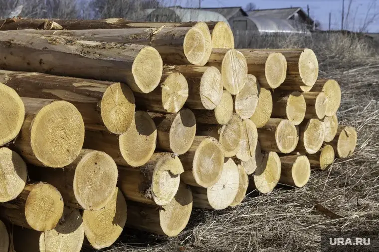 Деревянные многоэтажки - быстро и дёшево