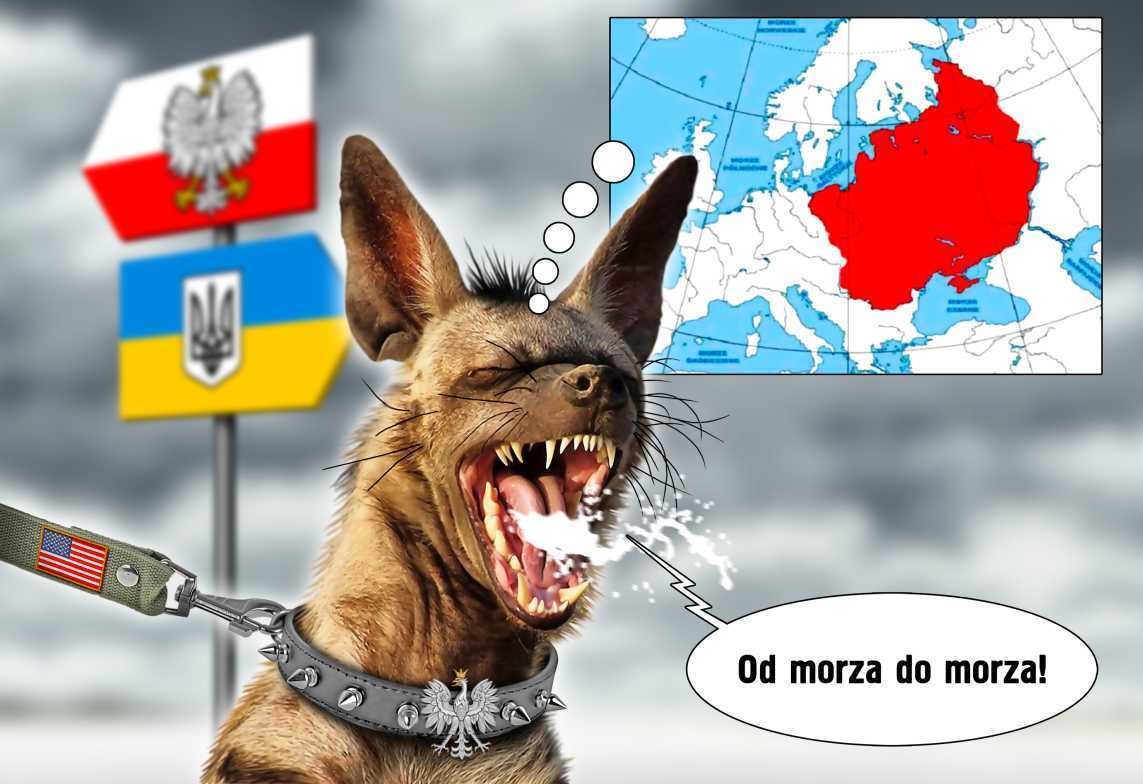 украина польша