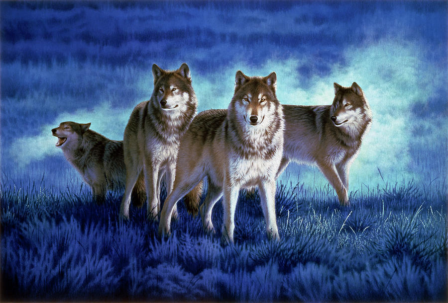 Интересные факты о волках