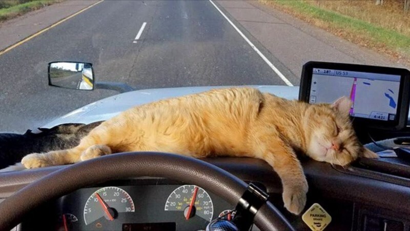 Как спланировать действительно отличное путешествие