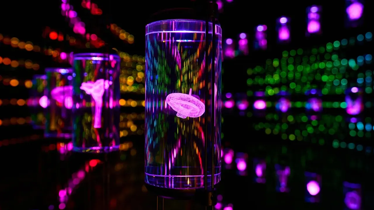 Эти музеи демонстрируют будущее, а не прошлое