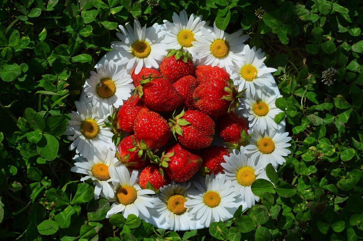 "Лето - это маленькая жизнь": какие изменения в законодательстве ждут россиян с 1 июня 2023 года?