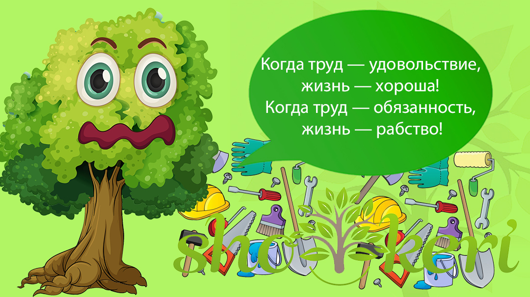 🌱Как преодолеть свои ограничивающие убеждения о деньгах🌱