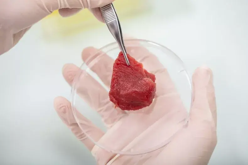 Американцы отказываются отказываться от мяса