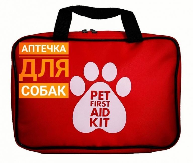 Кошки лекари. Собака с медицинской сумкой. Аптечка для животных. Аптечка для щенка. Аптечка первой помощи животным.