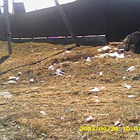 PICT0022.jpg