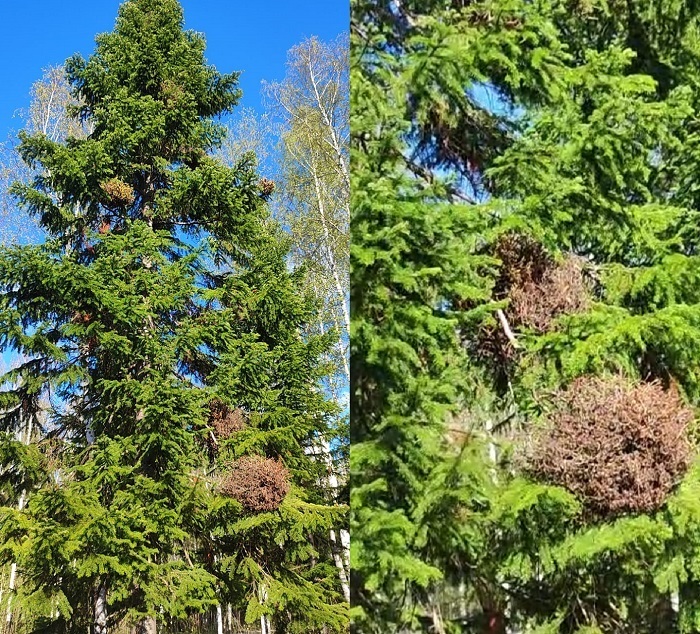 Экспедиция в Дидинский туннель. Часть 8.