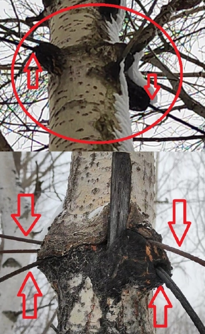 Экспедиция в Дидинский туннель. Часть 7.