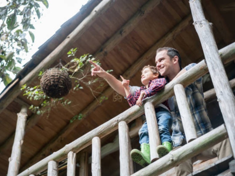 Эта белка 8 лет щелкала по их окну, пока семья не поняла, что она хотела показать.