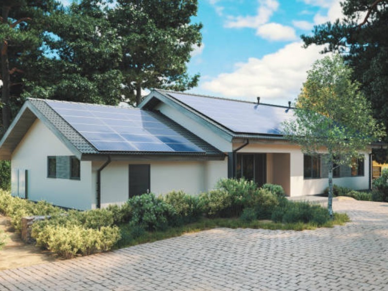 Эта белка 8 лет щелкала по их окну, пока семья не поняла, что она хотела показать.