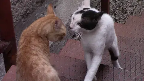 Покончить с отношениями или исправлять? На самые сложные вопросы об отношениях ответили эксперты телешоу.