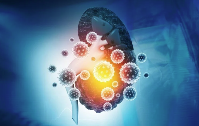 Пересадка сердца от доноров COVID-19: Смешанные результаты, выявленные в ходе раннего анализа