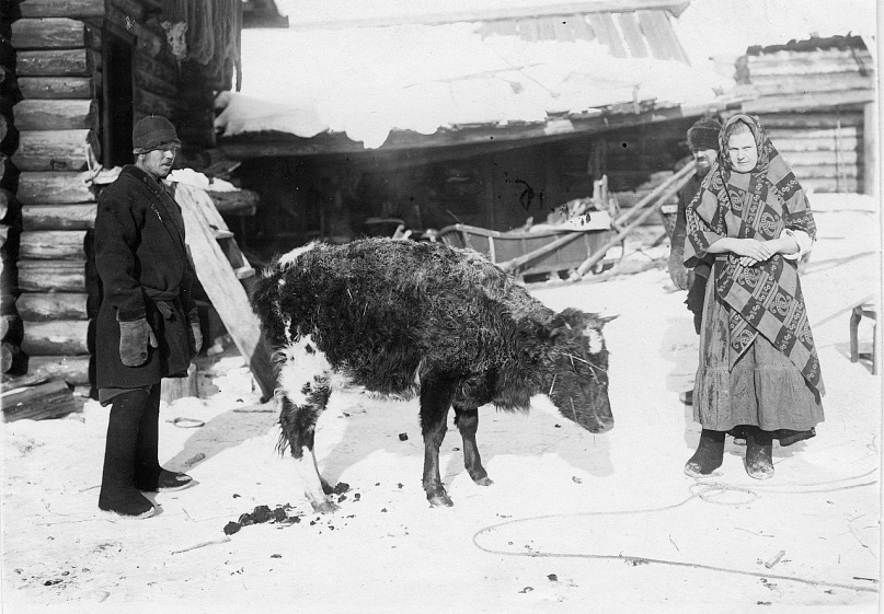 Почему на руси до 18 века не ели говядину.