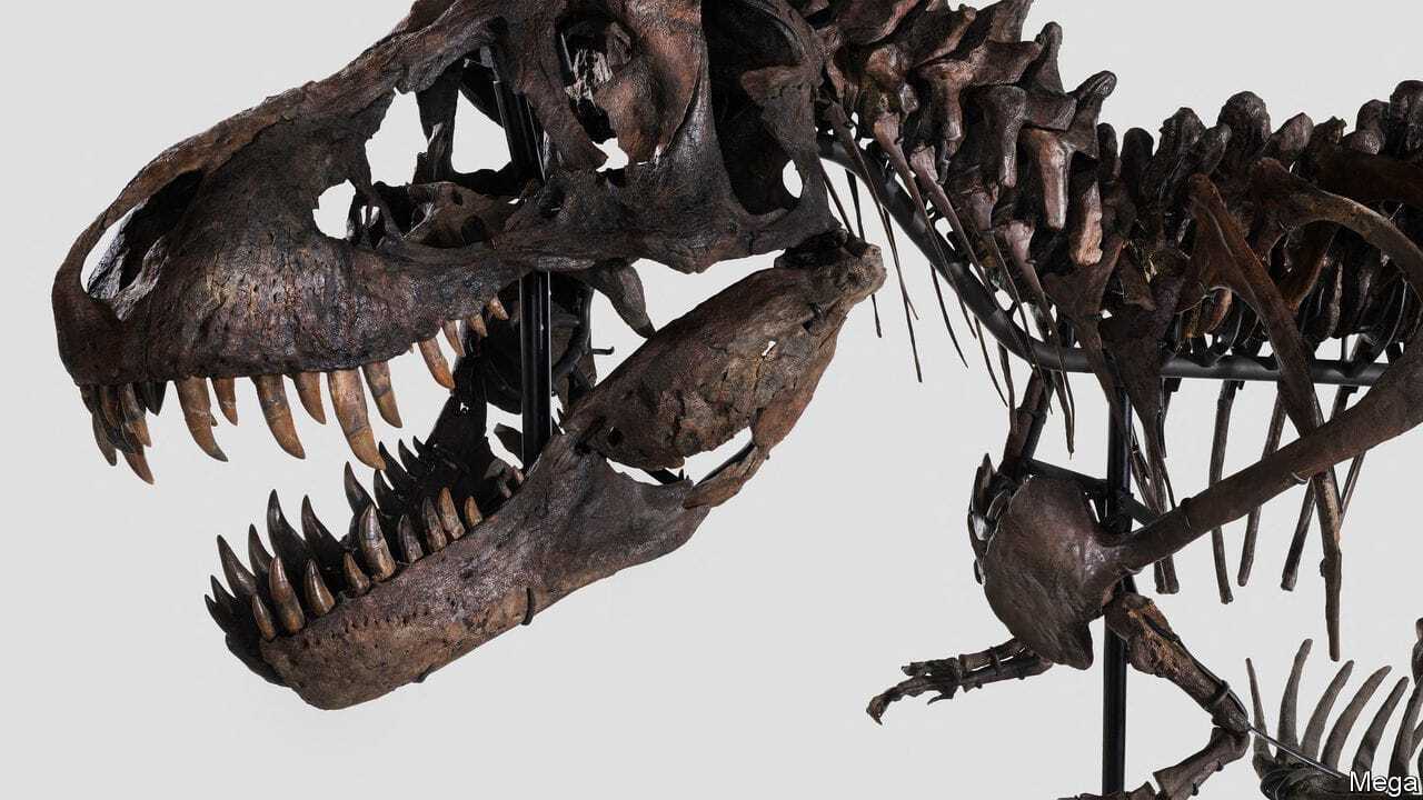 Торговля окаменелостями динозавров полезна для науки