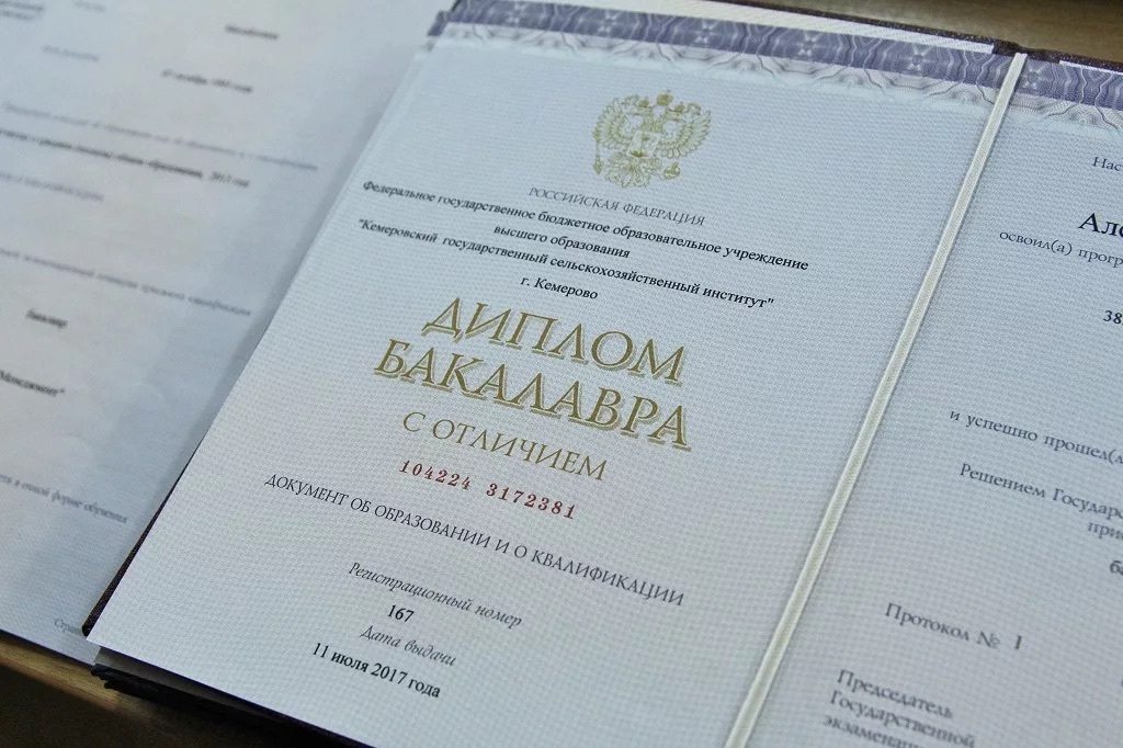 Почему обучение в институте – дорога в нищету?