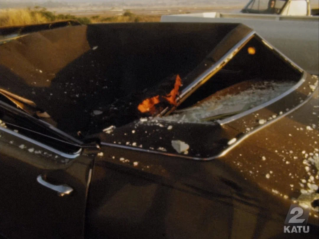 Киты взрываются на берегу! В чем кроются причины?