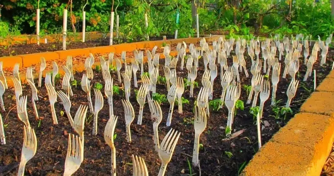 Раскройте свой зеленый палец: 15 лайфхаков, которые должен знать каждый садовник!