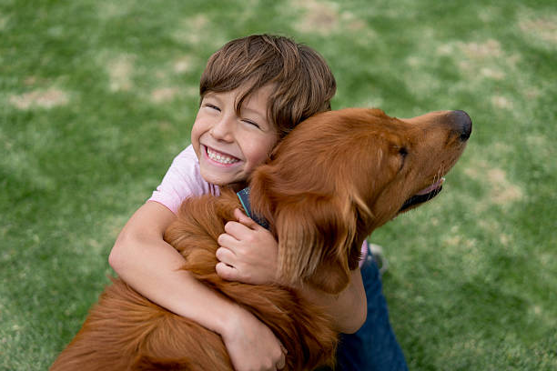 Хочу пушистого друга!