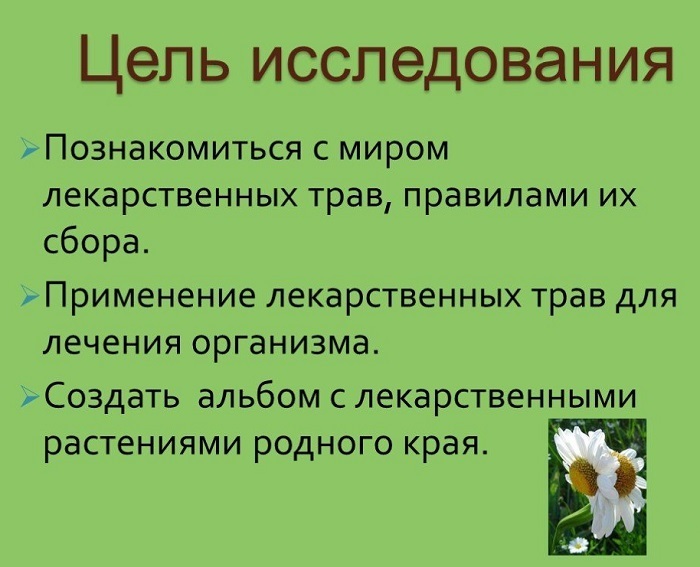 Изучение лекарственных растений.