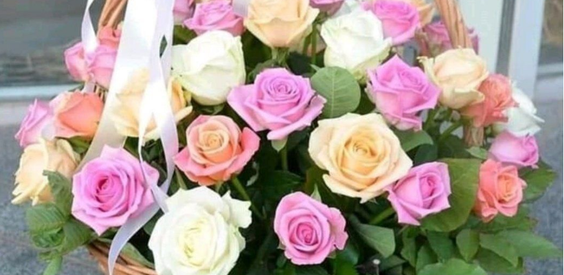 Роза. Кто не знает этот красивый и величественный цветок? С его неповторимым запахом и колючим стеблем.