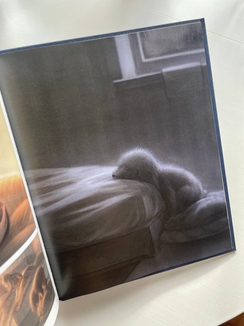 Когда слова излишне