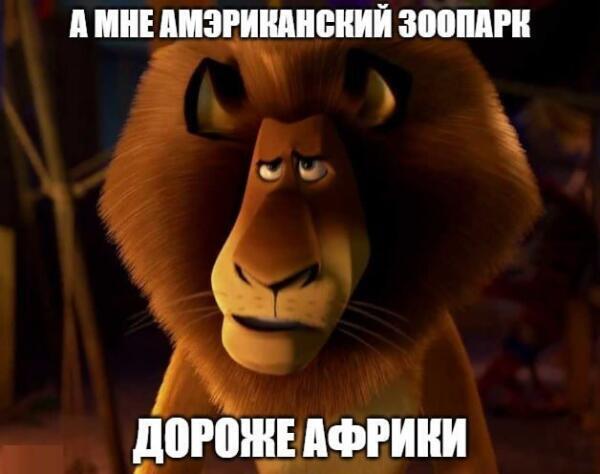 Откуда взялся мем «А мне дороже»