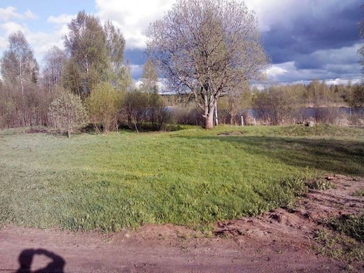 "Наслаждайтесь жизнью на природе: участок на берегу озера Савкинское в деревне Савкино ждет своего нового владельца!"