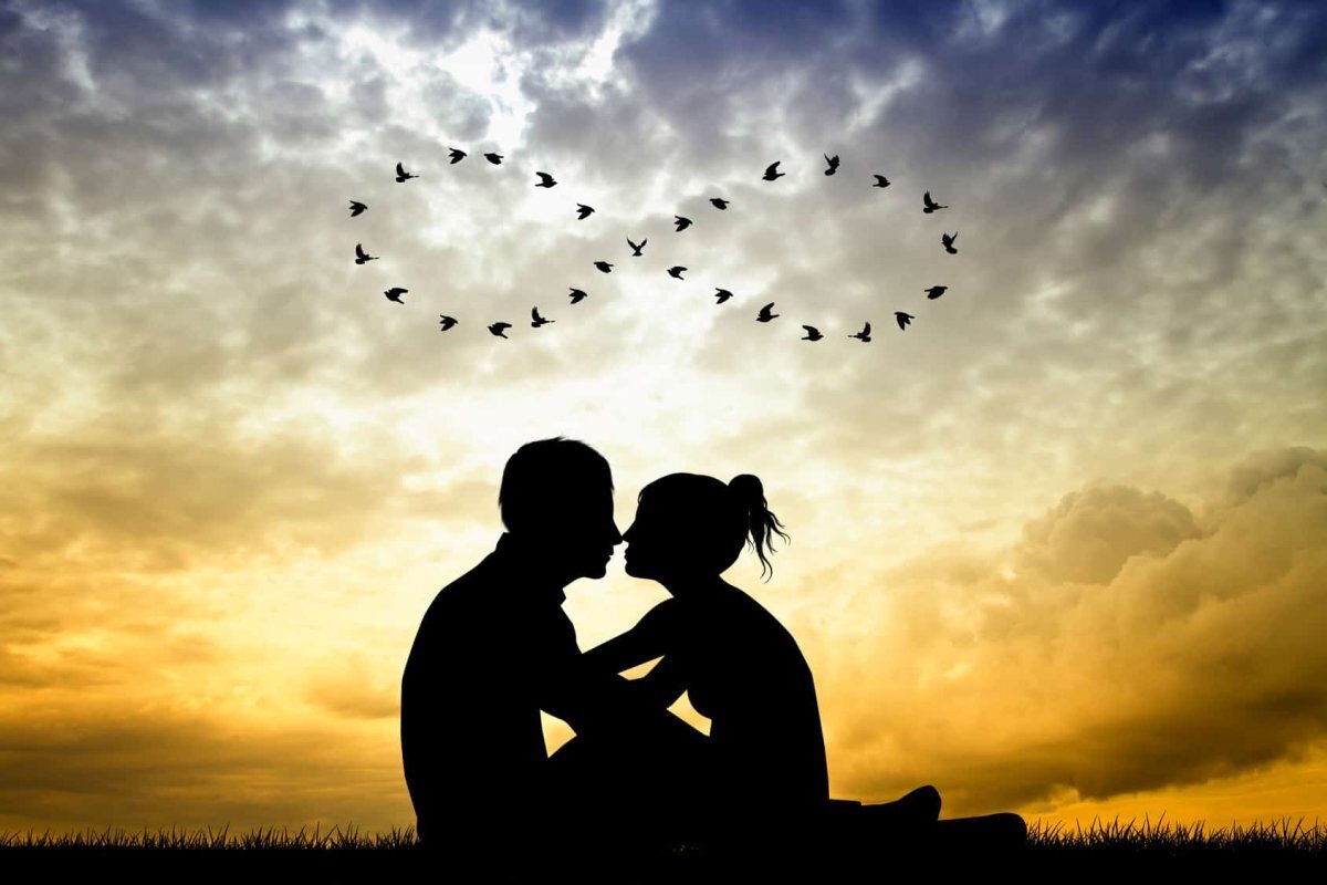 Одна жизнь, одна любовь: размышления о простоте и красоте нашего существования.