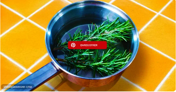 Кипящий розмарин: бьюти-актив