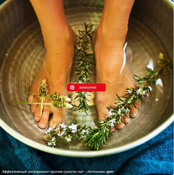 Кипящий розмарин: бьюти-актив