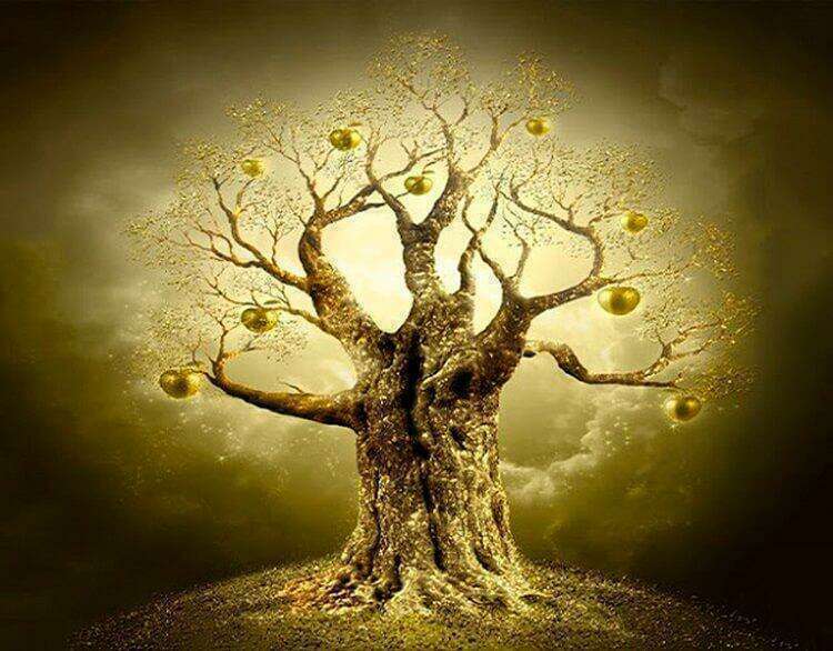 Дерево желаний