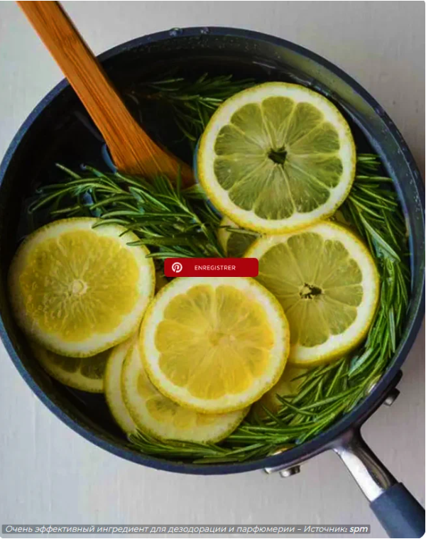 Кипящий розмарин: бьюти-актив