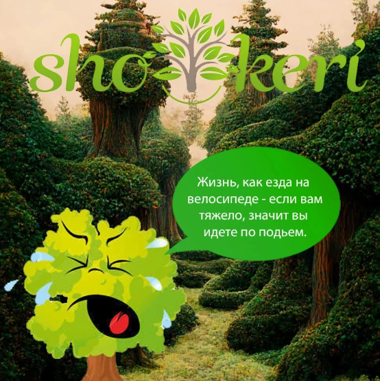 🌱7 практических шагов, как стать менее материалистичным🌱