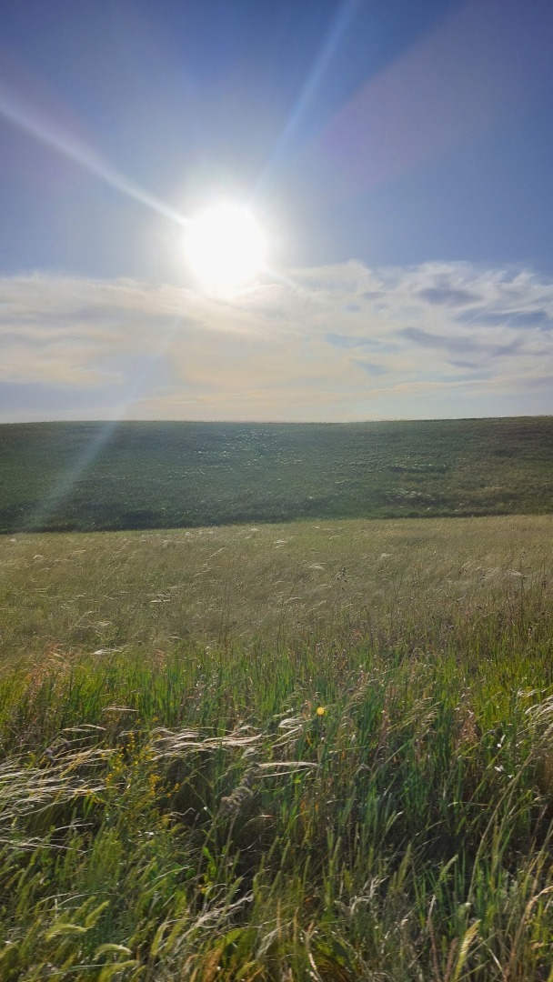 Родник "Голубой глаз": Магия прозрачной красоты в Оренбургской области